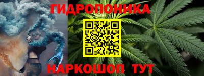 шишки Канаш