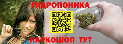 шишки Канаш