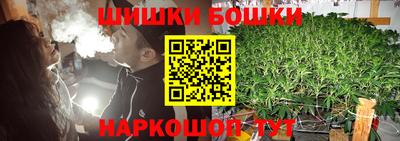тгк Камышлов
