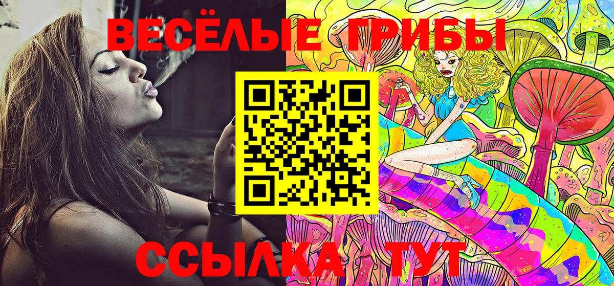 Лесозаводск  Галлюциногенные грибы Cubensis  Вход с VPN 